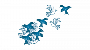 Connected to Co-Creative